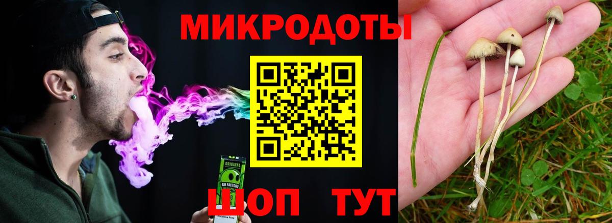 Дальнегорск  Псилоцибиновые грибы мицелий  Вход с VPN 