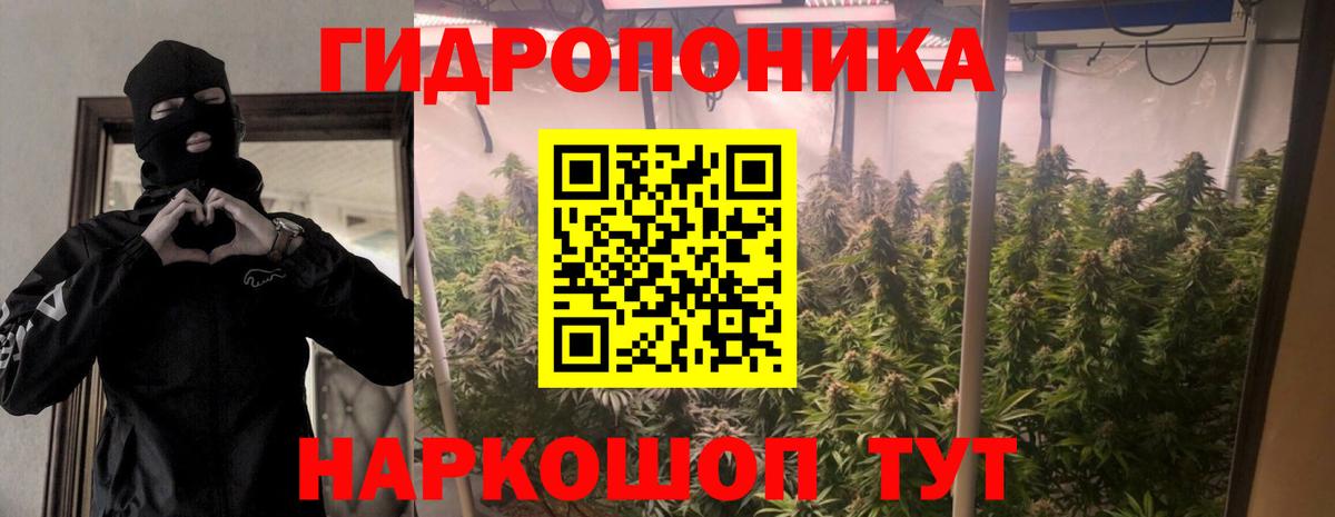 Бошки Шишки THC 21%  Каннабис White Widow  МАРИХУАНА индика  Дальнегорск  Вход с VPN 